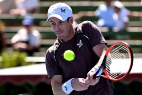 欧博官网-关于穆雷回归赛场，大胜首场状态亮眼，雄鹿观众沸腾！的信息